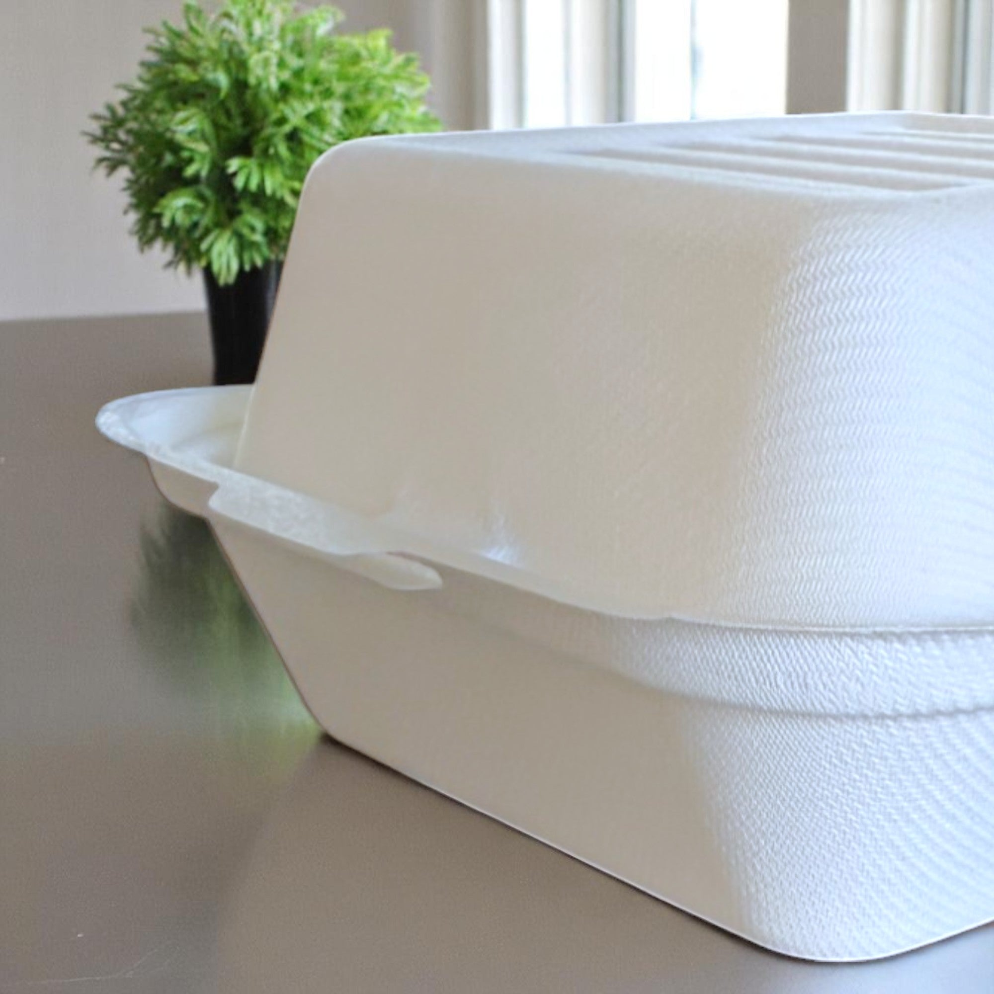 Bagasse Takeaway Packaging