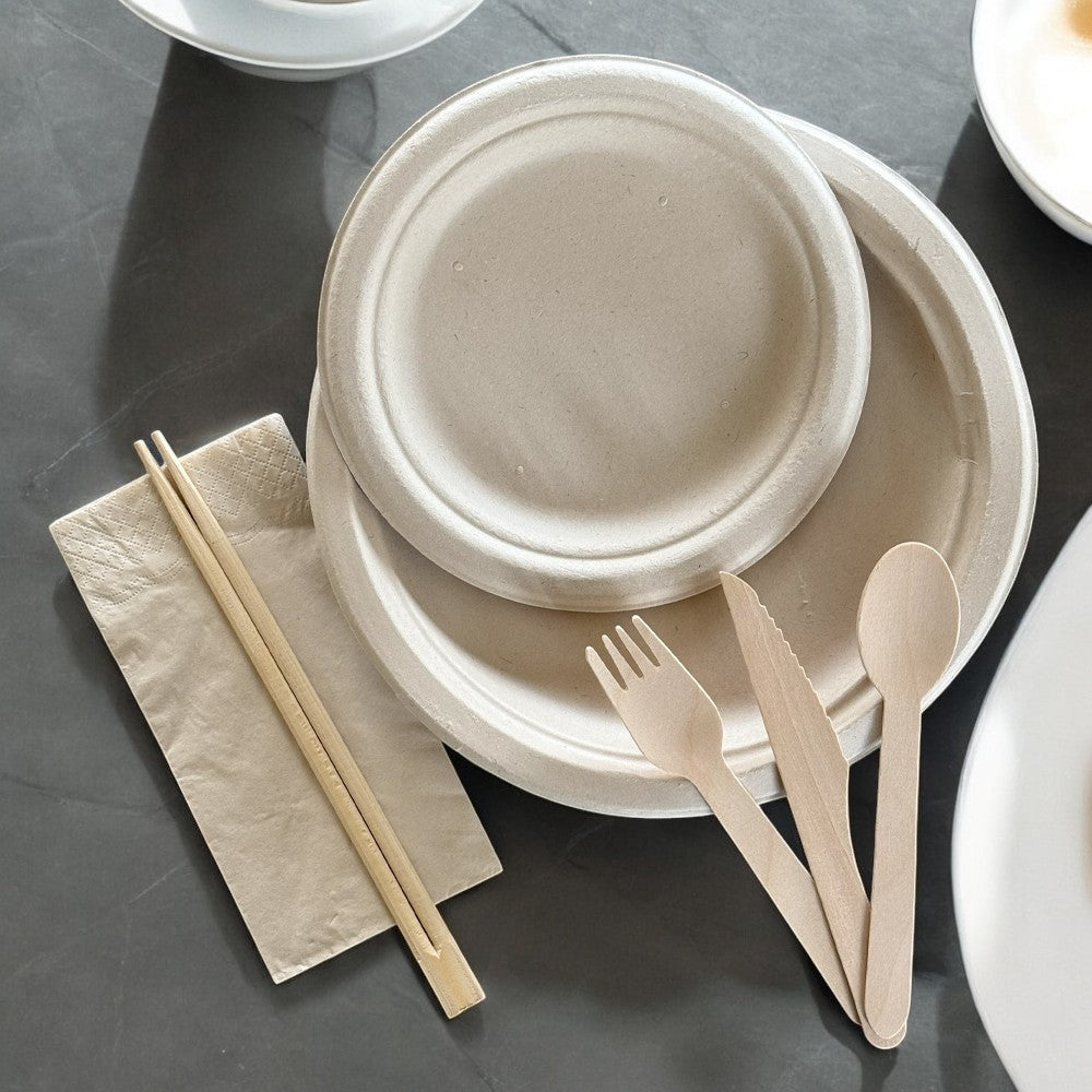 Disposable Tableware