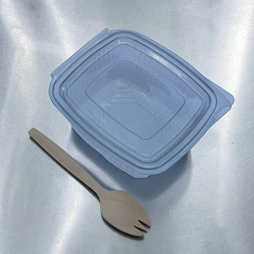 17oz PET Clear Hinged Plastic Container 500ml Overhead - Propus Packaging