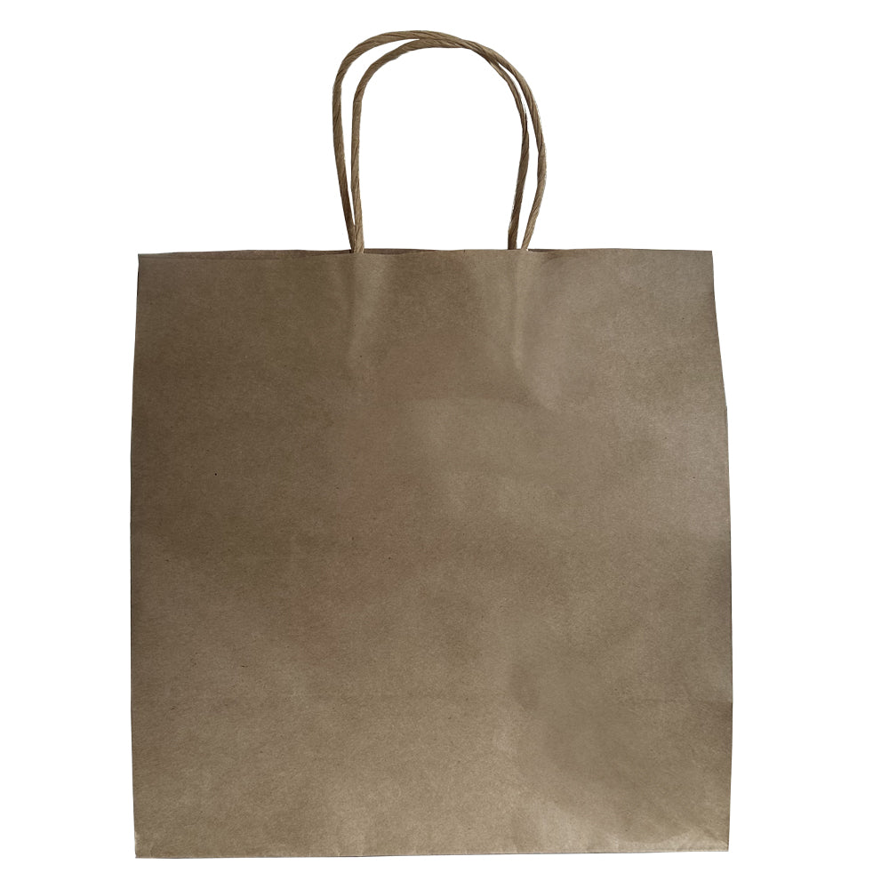 Kraft Paper Carrier Bag With Twist Handle 290x160x300mm Pack 500 - Propus Packaging