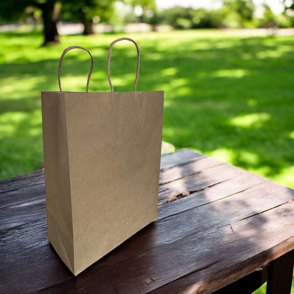 Kraft Paper Carrier Bag With Twist Handle 200x110x270mm Pack 500 - Propus Packaging