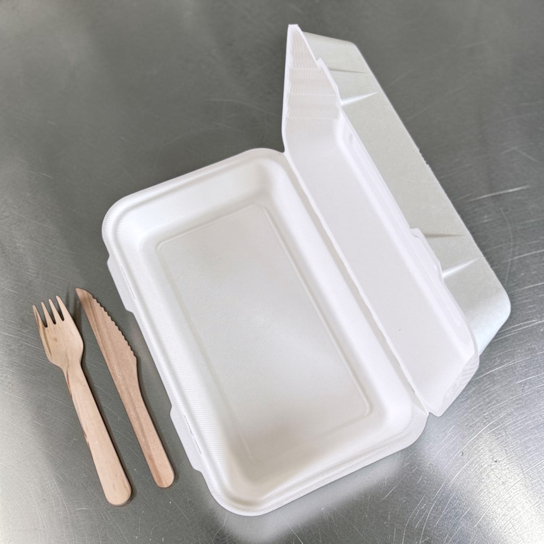 Bagasse 10x6" Clamshell Meal Box 250x155x60mm Overview - Propus Packaging