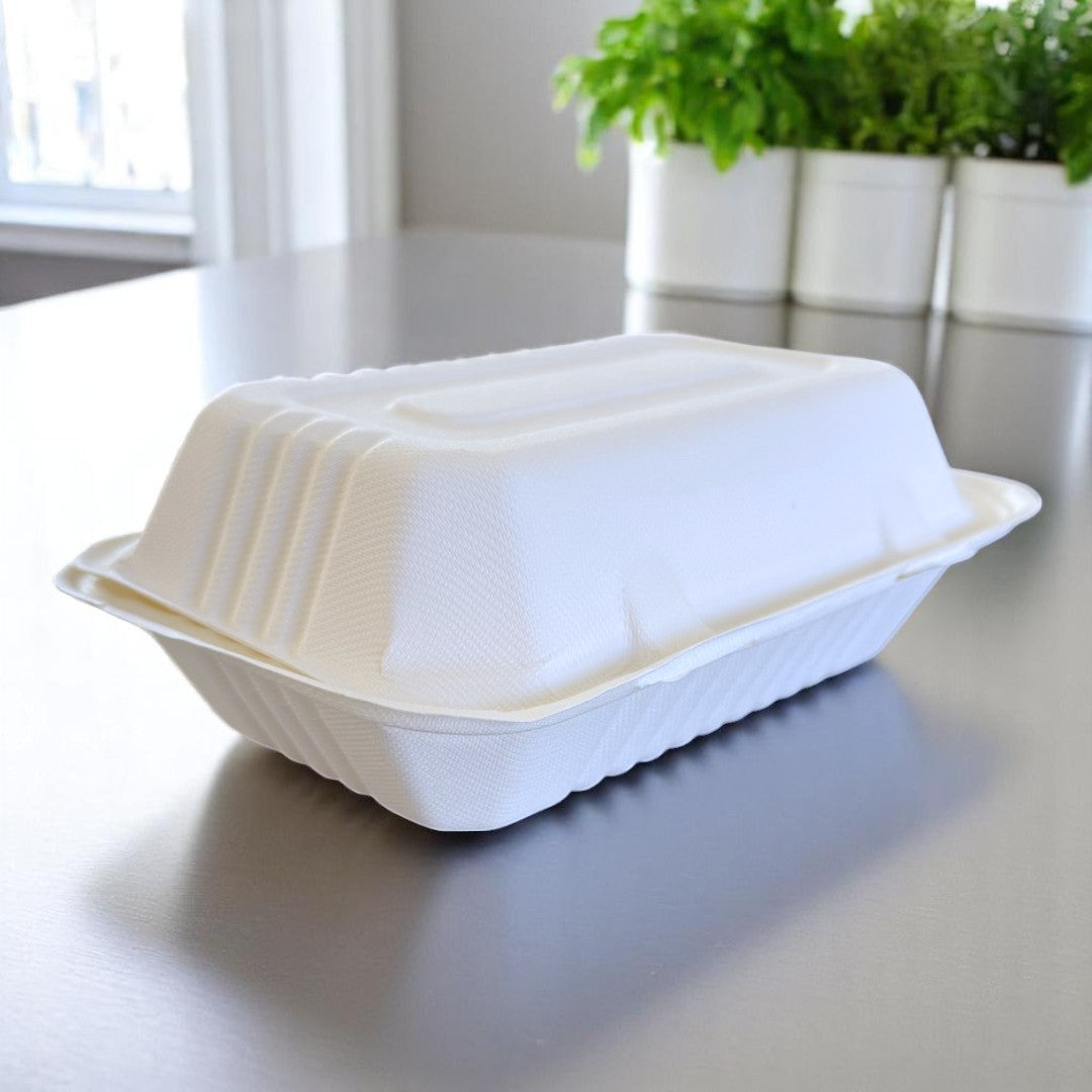 Bagasse Clamshell Meal Box 230x155x78mm Closed - Propus Packaging