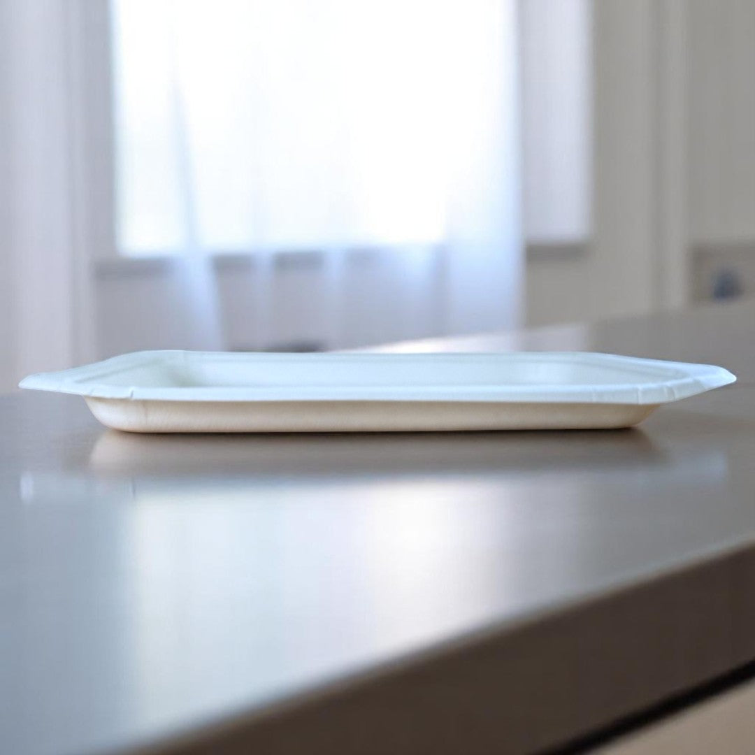 Bagasse Food Tray 240x165x20mm Side View - Propus Packaging