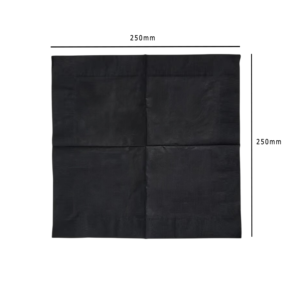 Black 2-Ply Cocktail Napkin 25x25cm Dimensions - Propus Packaging
