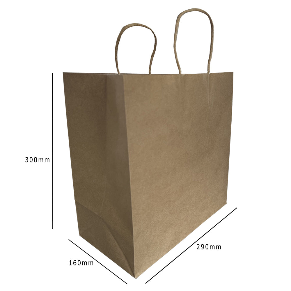 Kraft Paper Carrier Bag With Twist Handle 290x160x300mm Pack 500 - Propus Packaging