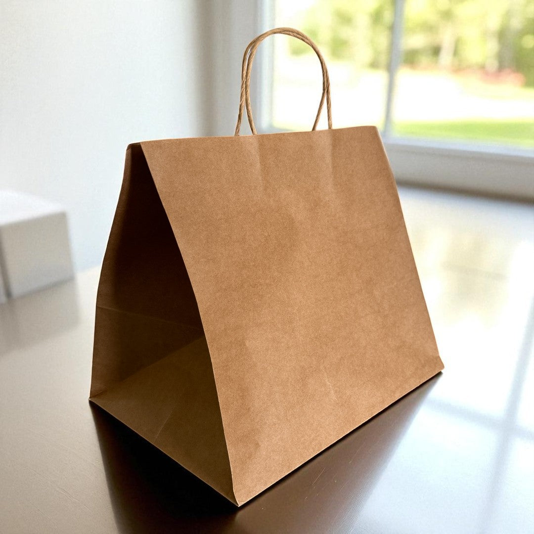 Kraft Paper Carrier Bag With Twist Handle 320x220x280mm - Propus Packaging